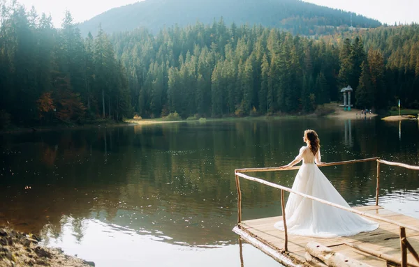 Mariée Incroyable Robe Mariée Luxe Près Lac Mariage Montagne — Photo