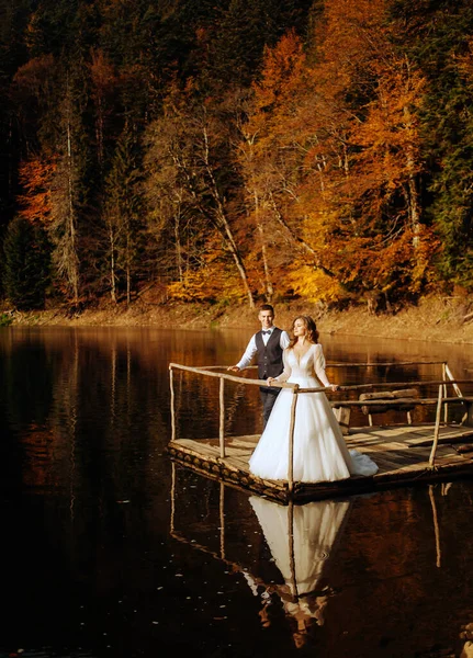 Recién Casados Enamorados Lago Montaña —  Fotos de Stock