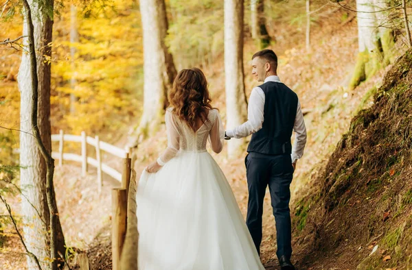 Recém Casados Estão Andando Parque Mãos Dadas — Fotografia de Stock