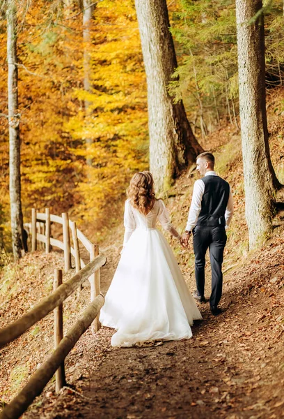 Nygifta Går Parken Och Håller Varandra Handen — Stockfoto