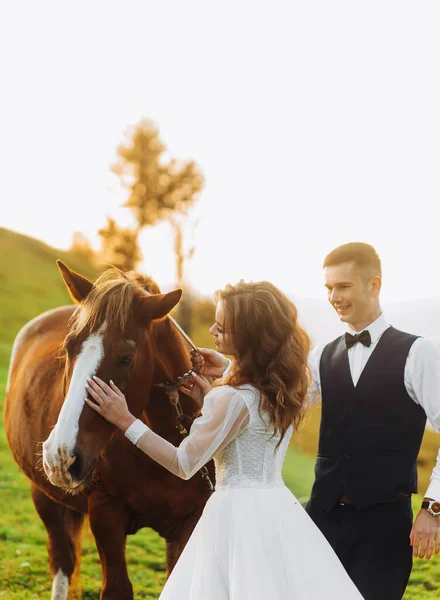 快乐的新婚夫妇在山上抚摸着一匹马 — 图库照片