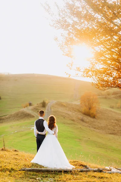 結婚式のカップルが立って丘の牧草地に抱擁し 夏の夕日の景色を楽しむ 山の丘 素晴らしい風景 — ストック写真