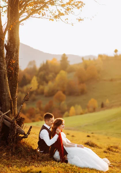 Coppia Incredibile Godersi Paesaggio Autunnale Seduto Sotto Albero Tramonto — Foto Stock