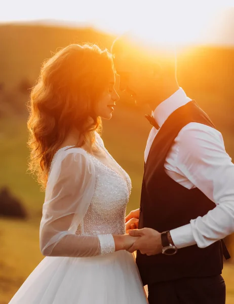Sladcí Novomanželé Stojí Čelem Sobě Drží Ruce Pozadí Západu Slunce — Stock fotografie