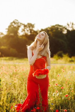 Haşhaş tarlasında poz veren kırmızı elbiseli güzel sarışın kadın elinde haşhaş dolu bir sepet tutuyor..