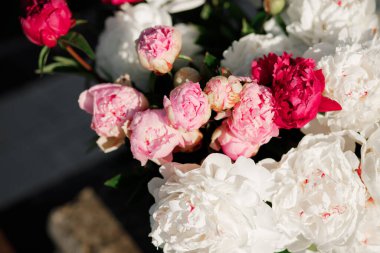 Pembe ve beyaz şakayıkların karışımı. Bir buket taze çiçek.