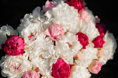 Pembe ve beyaz şakayıkların karışımı. Bir buket taze çiçek.