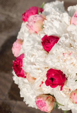 Pembe ve beyaz şakayıkların karışımı. Bir buket taze çiçek.