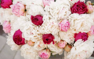 Pembe ve beyaz şakayıkların karışımı. Bir buket taze çiçek.