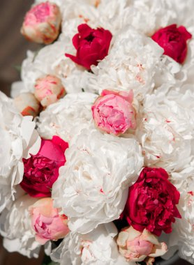 Pembe ve beyaz şakayıkların inanılmaz bir karışımı. Bir buket taze çiçek.