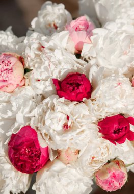 Pembe ve beyaz şakayıkların inanılmaz bir karışımı. Bir buket taze çiçek.