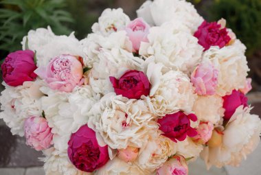 Pembe ve beyaz şakayıkların inanılmaz bir karışımı. Bir buket taze çiçek.