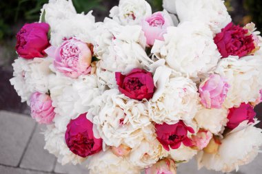 Pembe ve beyaz şakayıkların inanılmaz bir karışımı. Bir buket taze çiçek.