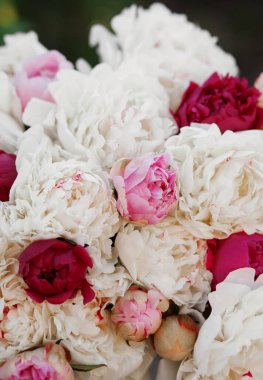 Pembe ve beyaz şakayıkların inanılmaz bir karışımı. Bir buket taze çiçek.