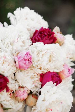 Pembe ve beyaz şakayıkların inanılmaz bir karışımı. Bir buket taze çiçek.