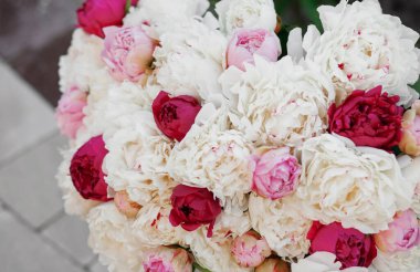 Pembe ve beyaz şakayıkların inanılmaz bir karışımı. Bir buket taze çiçek.