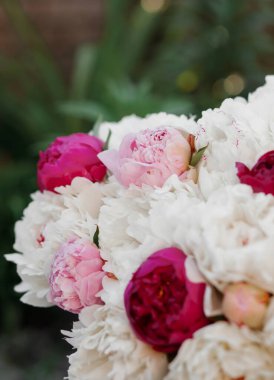 Pembe ve beyaz şakayıkların inanılmaz bir karışımı. Bir buket taze çiçek.