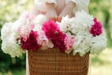 Elinde sepet dolusu taze şakayık tutan bir kadın. Bir buket pembe ve beyaz çiçek. Yaz duvar kağıdı.