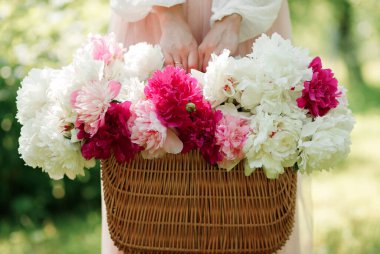 Saman sepetinde pembe şakayık tutan Boho kızı. Bohem çiçekli elbiseli şık hippi kadın bahçede şakayık çiçekleri topluyor..