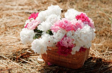 Hasır sepetin içinde samanların üzerinde güzel bir buket şakayık.