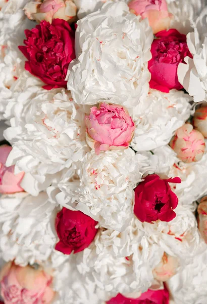 Mistura Peônias Rosa Branco Buquê Flores Frescas — Fotografia de Stock