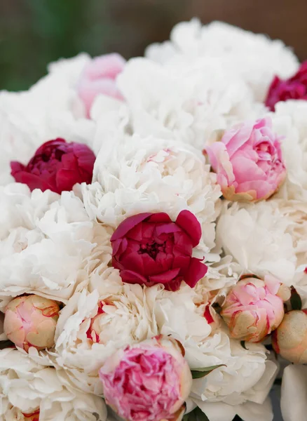 Mezcla Peonías Rosadas Blancas Ramo Flores Frescas — Foto de Stock