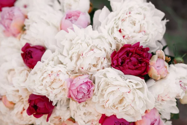 Míchané Růžové Bílé Pivoňky Kytice Čerstvých Květin — Stock fotografie