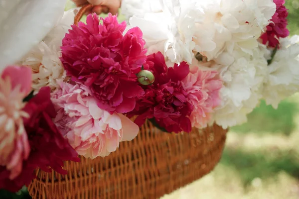 White Pink Peonies Basket Green Lawn Close Blurred Background Partial — Stock Photo, Image