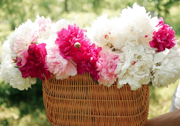 Peônias Brancas Rosa Uma Cesta Gramado Verde Close Com Fundo — Fotografia de Stock