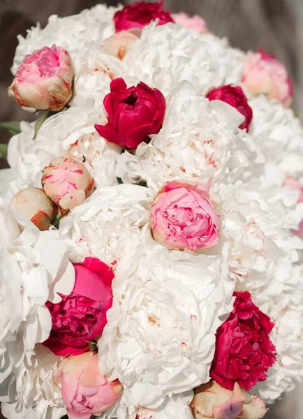 Fantastisk Blandning Rosa Och Vita Pioner Bukett Med Färska Blommor — Stockfoto