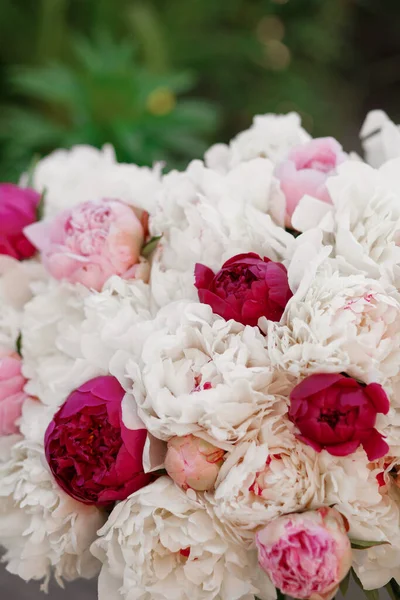 Niesamowita Mieszanka Różowych Białych Piwonii Bukiet Świeżych Kwiatów — Zdjęcie stockowe