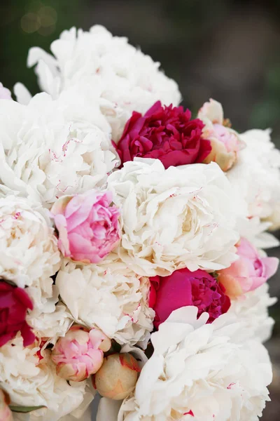 Fantastisk Blandning Rosa Och Vita Pioner Bukett Med Färska Blommor — Stockfoto