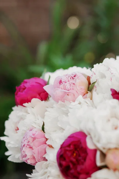 Mistura Incrível Peônias Rosa Branco Buquê Flores Frescas — Fotografia de Stock