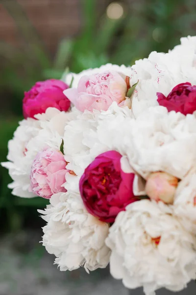 Increíble Mezcla Peonías Rosadas Blancas Ramo Flores Frescas — Foto de Stock
