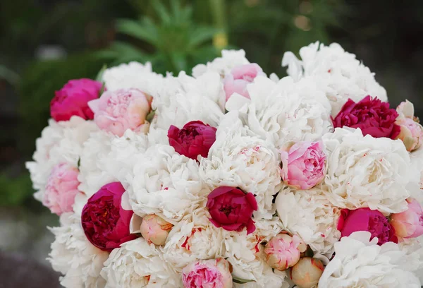 Pembe ve beyaz şakayıkların inanılmaz bir karışımı. Bir buket taze çiçek.