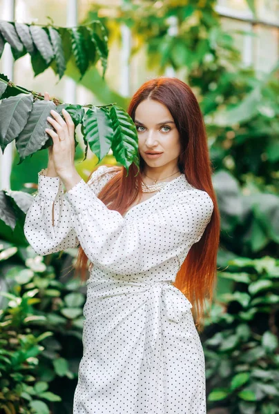 Portret Van Een Jonge Vrouw Bij Een Palmblad Een Kas — Stockfoto