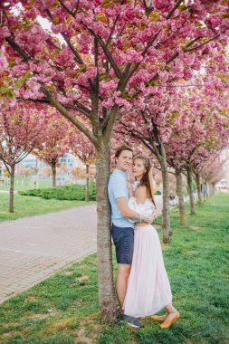 Genç çift parkta sarılıyor. Sakura ağaçlarıyla dolu sokak.