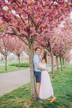 İnanılmaz genç çift Sakura ağaçlarının yanında sarılıyor.