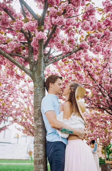 Genç Çift Parkta Sarılıyor Sakura Ağaçlarıyla Dolu Sokak — Stok fotoğraf