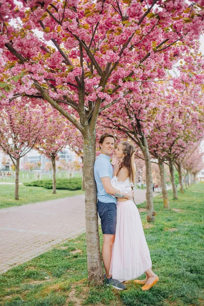 İnanılmaz genç çift Sakura ağaçlarının yanında sarılıyor.