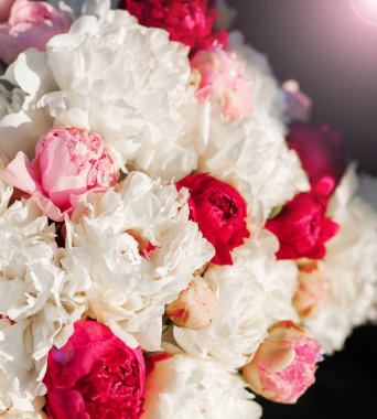 Yaz bahçesinde güzel pembe şakayık çiçekleri