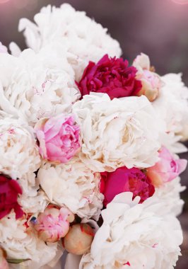 Yaz bahçesinde güzel pembe şakayık çiçekleri