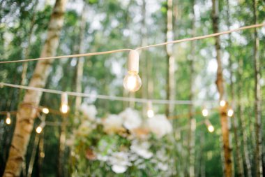 Dekorasyonlar, ormandaki çiçekçiler, düğün töreninin detayları..