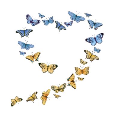 Ukrayna bayrağı kalbi renklendirir. Mavi ve sarı çizimler. Ukrayna 'da savaş sembolü