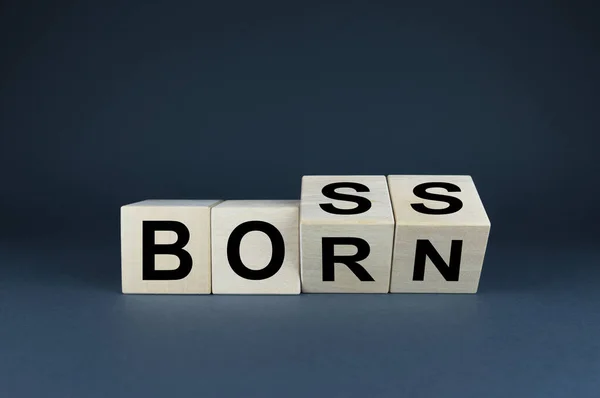 Born Boss Cubes Form Words Boss Born Business Concept — Stock Photo, Image