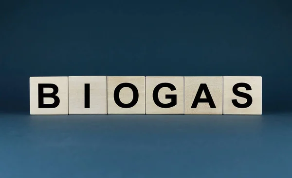 Paliwo Biogazowe Kostki Tworzą Słowo Biogaz Koncepcja Ekologicznego Przyjaznego Dla — Zdjęcie stockowe