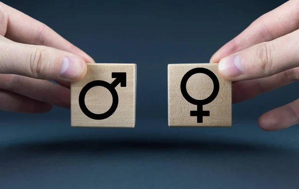 立方体形成男性和女性的性别符号 平等概念 — 图库照片