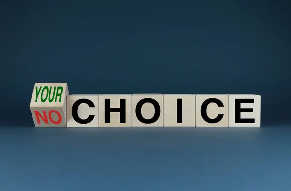 Your Choice Cubes Form Words Your Choice Choice Concept Presidential — Stock Photo, Image