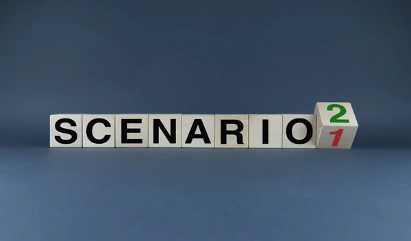 Scenario Scenario Cubes Form Words Scenario Scenario Concept Developing Scenarios — ストック写真