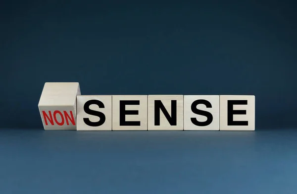 Sense Nonsense Cubes Form Words Sense Nonsense Concept Logical Useful — Zdjęcie stockowe